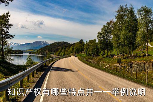 知識產(chǎn)權(quán)有哪些特點并一一舉例說明