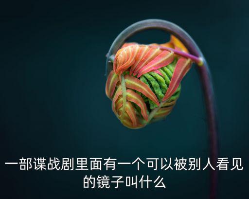 一部諜戰劇里面有一個可以被別人看見的鏡子叫什么