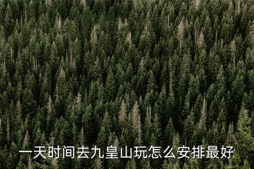 九皇山旅游攻略，四月份想去九皇山玩但是沒去過可以在什么地方看相關的攻略介紹