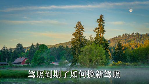 駕照到期了如何換新駕照