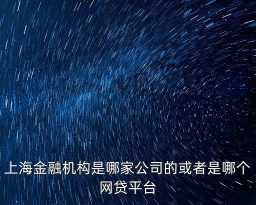 上海金融機(jī)構(gòu)是哪家公司的或者是哪個(gè)網(wǎng)貸平臺(tái)