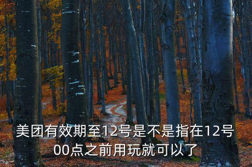 美團有效期至12號是不是指在12號00點之前用玩就可以了