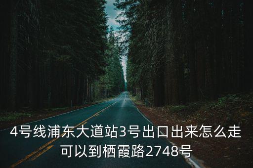 4號線浦東大道站3號出口出來怎么走可以到棲霞路2748號