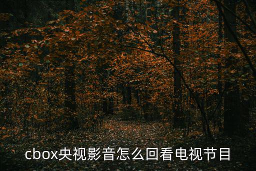 cctv1回看，如何回看中央一臺2016年315日生活圈欄目