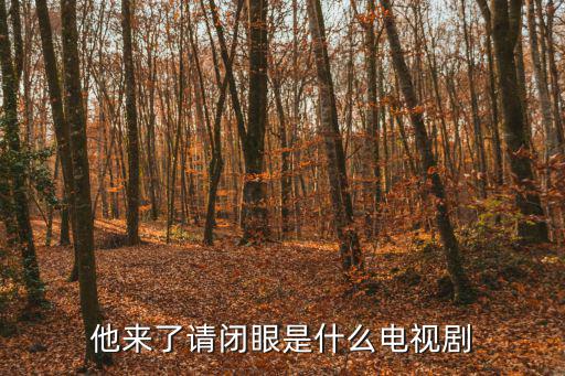 他來了請閉眼是什么電視劇