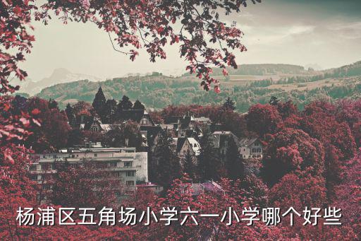 楊浦區五角場小學六一小學哪個好些