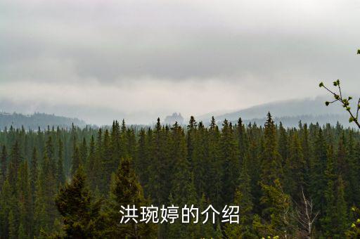 洪琬婷的介紹
