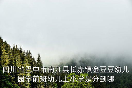 四川省巴中市南江縣長赤鎮金豆豆幼兒園學前班幼兒上小學是分到哪