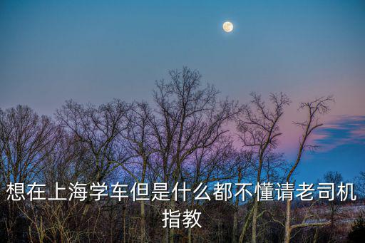 想在上海學(xué)車(chē)但是什么都不懂請(qǐng)老司機(jī)指教