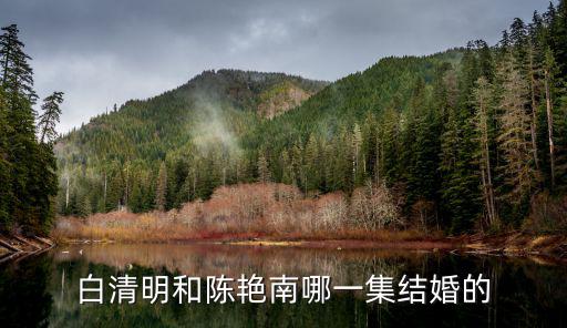 白清明和陳艷南哪一集結婚的