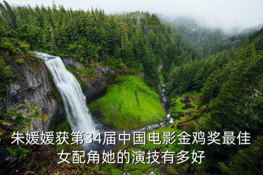 朱媛媛獲第34屆中國(guó)電影金雞獎(jiǎng)最佳女配角她的演技有多好