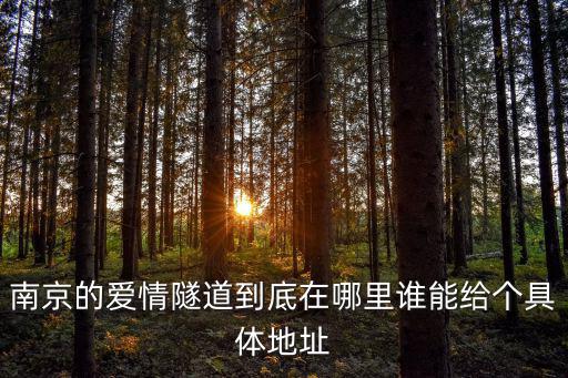 南京的愛情隧道到底在哪里誰能給個具體地址