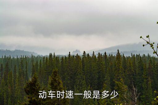 動車時速一般是多少