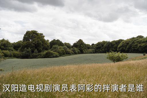 漢陽造電視劇演員表阿彩的拌演者是誰