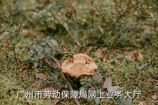 廣州市勞動保障局網上業務大廳