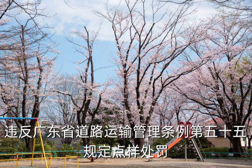 違反廣東省道路運輸管理條例第五十五規定點樣處罰