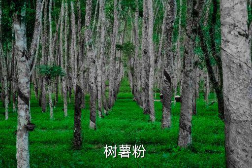 樹薯粉