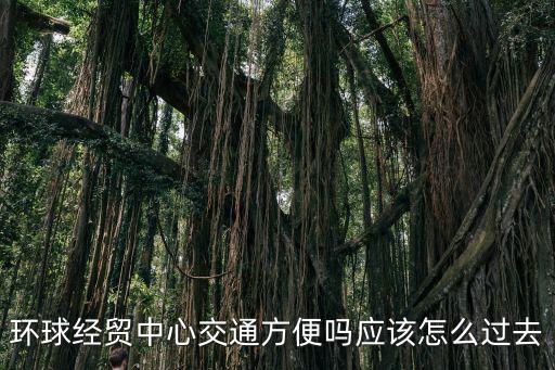環(huán)球經(jīng)貿(mào)中心交通方便嗎應(yīng)該怎么過(guò)去