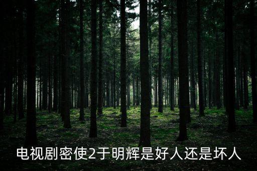 電視劇密使2于明輝是好人還是壞人