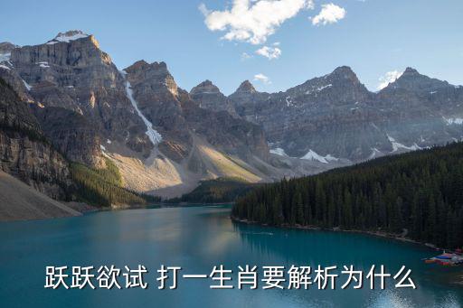 躍躍欲試 打一生肖要解析為什么