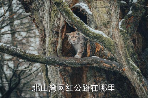 北山灣網紅公路在哪里
