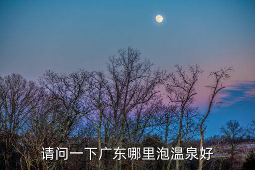 請問一下廣東哪里泡溫泉好