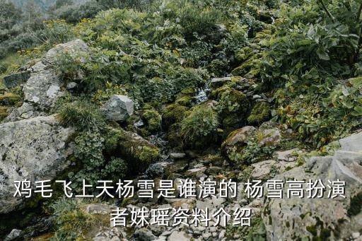雞毛飛上天楊雪是誰演的 楊雪高扮演者姝瑤資料介紹