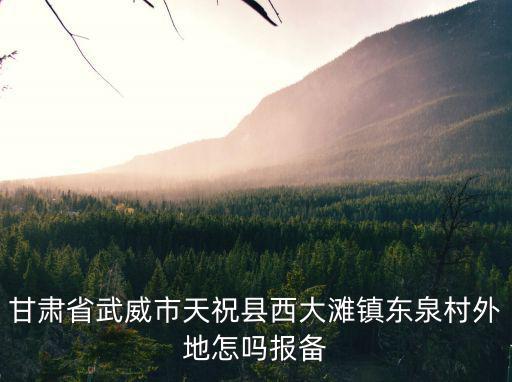 甘肅省武威市天祝縣西大灘鎮東泉村外地怎嗎報備