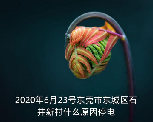 2020年6月23號東莞市東城區石井新村什么原因停電