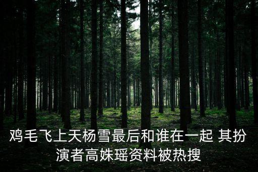 雞毛飛上天楊雪最后和誰在一起 其扮演者高姝瑤資料被熱搜