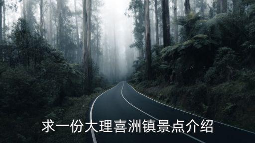 求一份大理喜洲鎮景點介紹