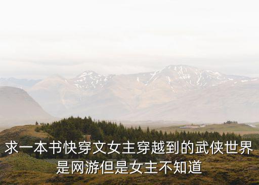 流落武俠世界，求穿梭在武俠的世界里這本小說