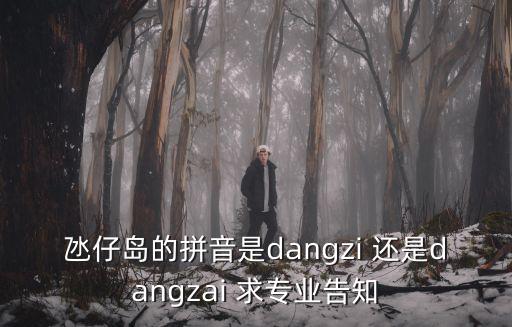 氹仔島的拼音是dangzi 還是dangzai 求專業(yè)告知