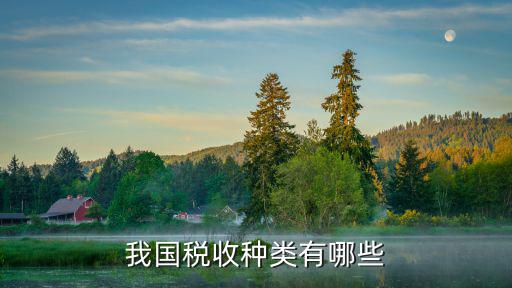 我國稅收種類有哪些