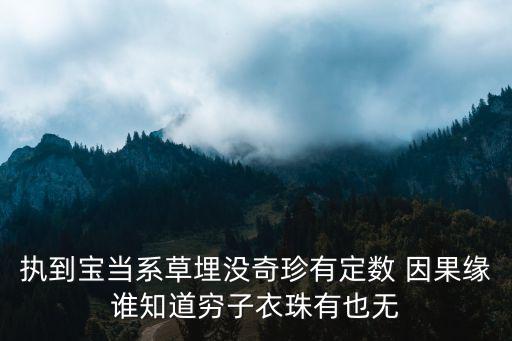 執(zhí)到寶，執(zhí)到寶都唔知粵語是什么意思