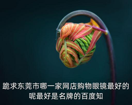跪求東莞市哪一家網店購物眼鏡最好的呢最好是名牌的百度知