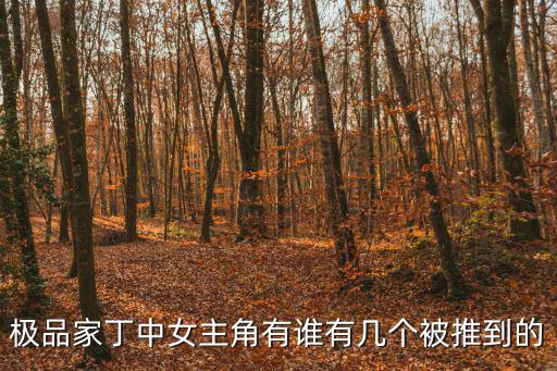 極品家丁中女主角有誰(shuí)有幾個(gè)被推到的