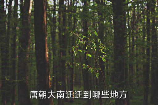大南遷，唐朝大南遷遷到哪些地方