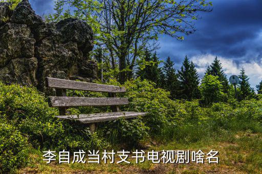 李自成當村支書電視劇啥名