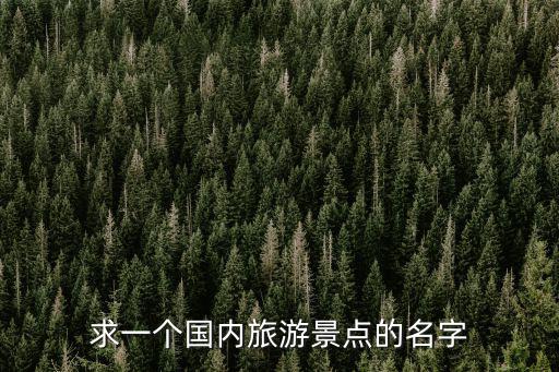求一個國內(nèi)旅游景點(diǎn)的名字