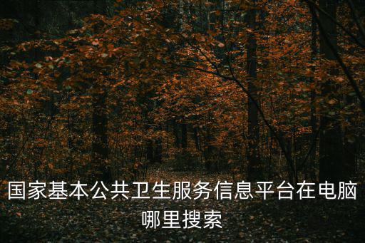 國家基本公共衛生服務信息平臺在電腦哪里搜索