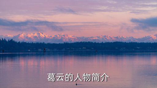 葛云的人物簡介