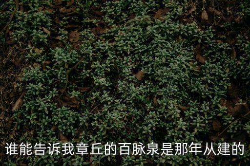 誰能告訴我章丘的百脈泉是那年從建的