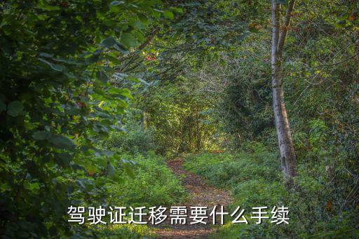 駕駛證遷移需要什么手續