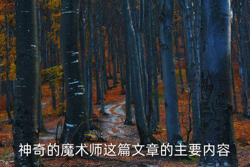 神奇的魔術師這篇文章的主要內容