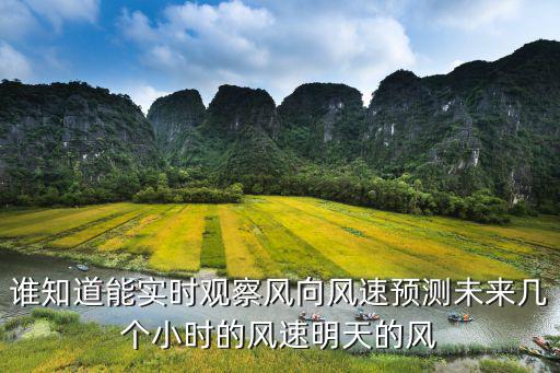 誰知道能實時觀察風向風速預測未來幾個小時的風速明天的風