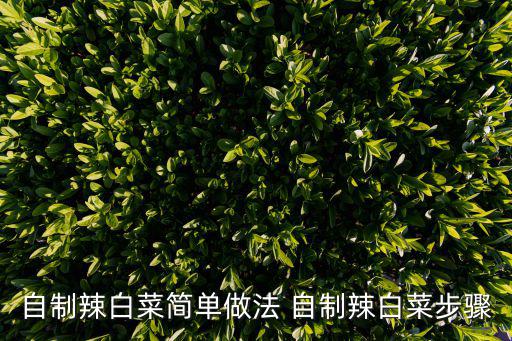 自制辣白菜簡單做法 自制辣白菜步驟