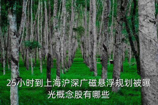 25小時(shí)到上海滬深廣磁懸浮規(guī)劃被曝光概念股有哪些