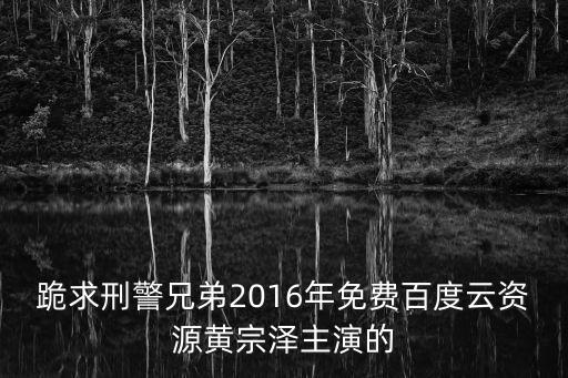 跪求刑警兄弟2016年免費百度云資源黃宗澤主演的