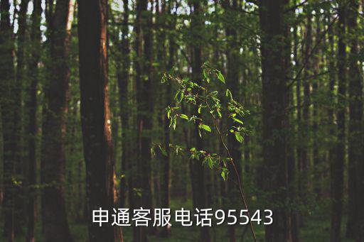 申通客服電話(huà)95543